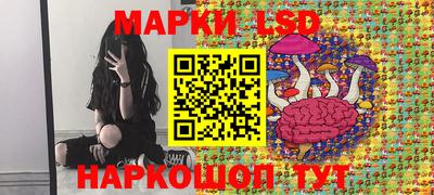 стафф Сланцы