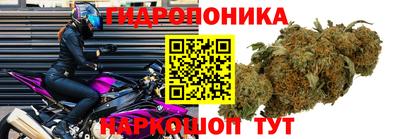 бошки Славгород