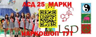стафф Сланцы