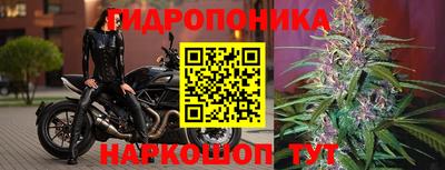 стафф Сланцы