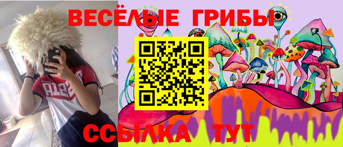 Псилоцибиновые грибы прущие грибы  наркошоп  Нижневартовск  Псилоцибиновые грибы GOLDEN TEACHER  Вход с VPN 
